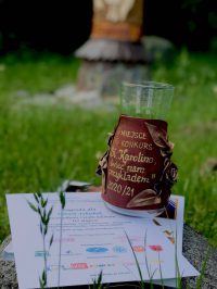 197002091_508477787015031_1718734174047671537_n