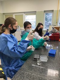 MicrosoftTeams-image (17)