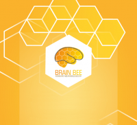 brain-bee