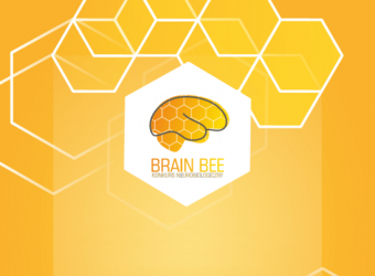 brain-bee