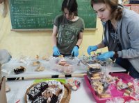 283991774_436199805007295_9201546432778124294_n