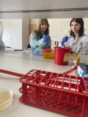 laboratorium_biol_maj_2023_02