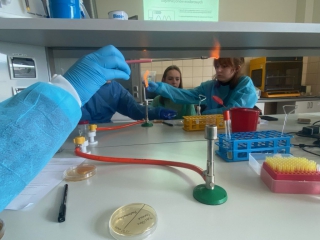 laboratorium_biol_maj_2023_03