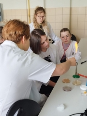 laboratorium_biol_maj_2023_08