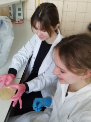 laboratorium_biol_maj_2023_11