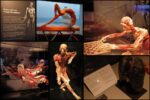 collage_body_world_2023